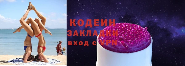не бодяженный Заводоуковск