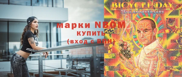 не бодяженный Заводоуковск
