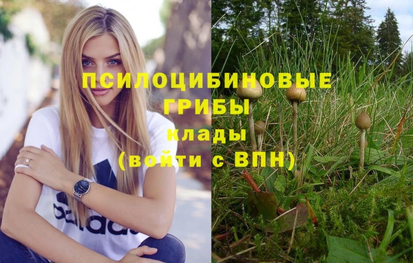 не бодяженный Заводоуковск