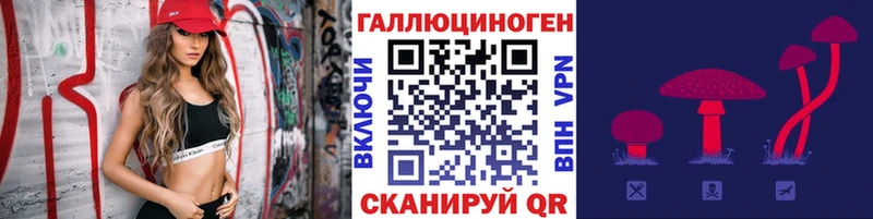 hydra   Карачев  Псилоцибиновые грибы прущие грибы 