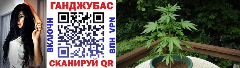 Бошки марихуана гибрид  MEGA   Карачев  купить  цена 
